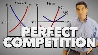 Perfect Competition Short Run (1 of 2)- Old Version