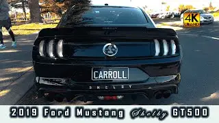 2019 Ford Mustang Shelby GT500 | Cars & Coffee-Largs (August 2024) #ford