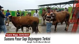 Suasana Terkini, Murah meriah Pasar Sapi Bojonegoro