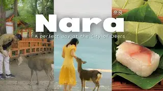 A day trip to Nara from Osaka | Deer Feeding, Hidden Temples, Nara specialty sushi | Cosy Japan Vlog