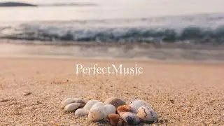 Purrple Cat - Seashells  (No Copyright Music)