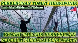 PEMBENAHAN TALI AJIR SEBELUM PENANAMAN 🇹🇼