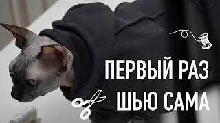 Шью кофту из секонд-хенда для кошки