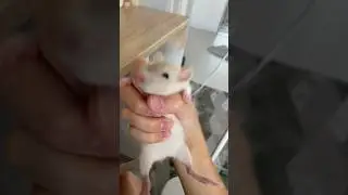 МОЙ ТГ:Симкина семья #реки #Симочка