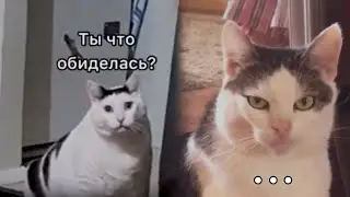 Когда она обиделась