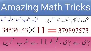 amazing mathematics tricks/multiplication of huge figures with 11 in single step/math tricks