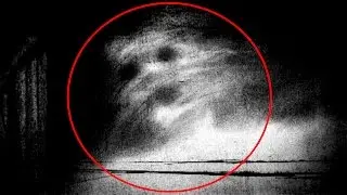 5 criaturas que acechan en la noche