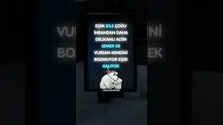 Eşek Bile Çoğu İnsandan Daha Delikanlı 😃 Laf Sokmak Neon Melodi