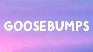 Travis Scott - Goosebumps (Lyrics)
