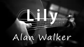 Lily - Alan Walker ( Acoustic Karaoke )