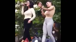 cupita gobas goyang susu gede banget