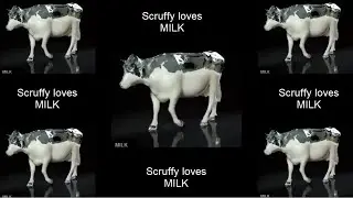 Scruffy loves MILK