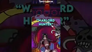 Luffy The Warlord Hunter 