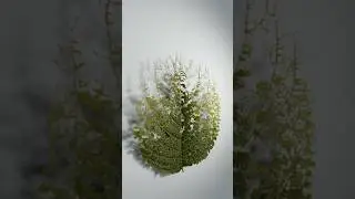 I grew a leaf! - procedural animation with geometry nodes #blender3d #3danimation #simulation #vfx