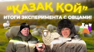 Как наши препараты обогащают вас? | Итоги эксперимента 