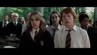 Rony & Hermione - All of Me