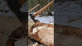 Томагавк-валашка (1.15кг/72см) в сравнении с Аникой.
