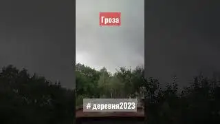 Гроза 30 августа