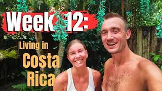 Week 12: We Can’t Believe This Is Our Everyday Life