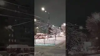 "Самая любимая моя..." ( Александр Бардин)