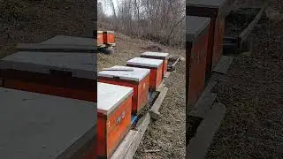 Зимуем Дальше. пригород Харькова.