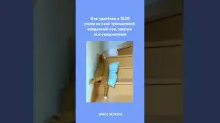 А всё потому, что на удалёнке вы сами строите свой рабочий график!