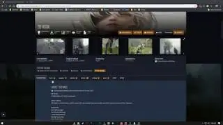Nier Automata Tutorial   New Mod Loader