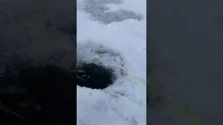 Поиграли и поймали ротана 