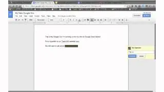 Adding Comments In GoogleDocs