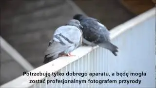 Stypendium z Wyboru- Pasja i praca- fotografia przyrodnicza