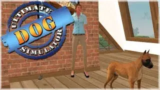 Adopted by a New Owner?! 🐶 Ultimate Dog Simulator - Episode #2