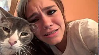 Can't Hug Every Cat Lip Sync Music Video