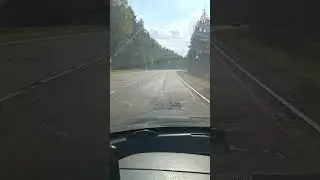 Странности на трассе... 🤏🤯закономерная случайность или случайная закономерность???