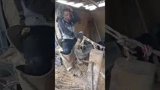 РУЗИМУРОД ВА МУСТАНГ жуфлиги