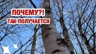 ЛАТВИЯ | ПОЧЕМУ? | ЗАДАЮ СЕБЕ ВОПРОС