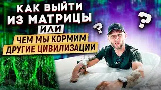 Мы живём на ферме, нас выращивают как скот. Как выйти из матрицы и пробудиться? ЧАСТЬ 1. #zamaznoy