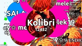 Who did all of this go to? Agario Solo Gameplay