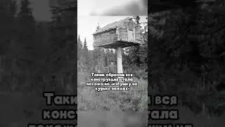 Избушка Смерти