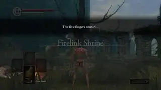 Dark Souls Remastered мод Рогалик