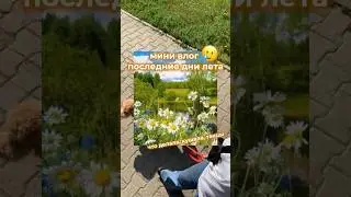 До конца лета 6 дней🥲 #влог @FLEXYWAY #реки #танцы