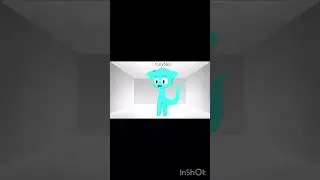 Untitled video