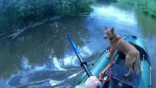 Катабайд КАМКУР  