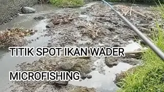 ||TITIK IKAN MAKAN||MICROFISHING!!!