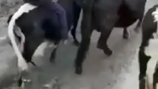 7 ноября 2020 г.