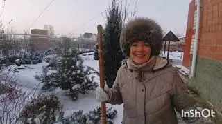 Мои садовые романсы! А у нас зима пришла!