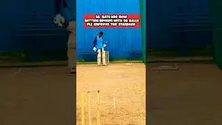 Bats Quality is not upto the mark 
