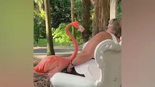 She wasn't prepared for this... 