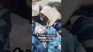 Почему кошка спит на вашей одежде?🤔👕 