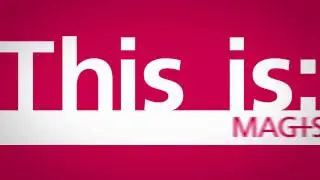 What is MAGIS?