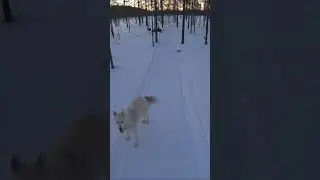 Авария на зимней рыбалки в Карелии 